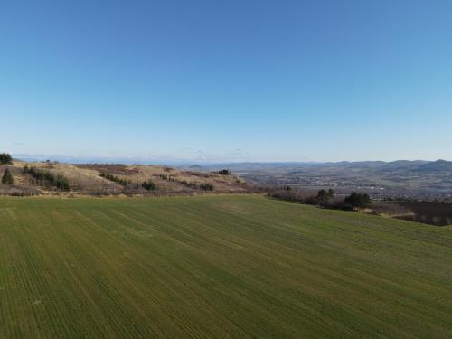 Puy d'Anzelle [05-02-2022](0404).jpg